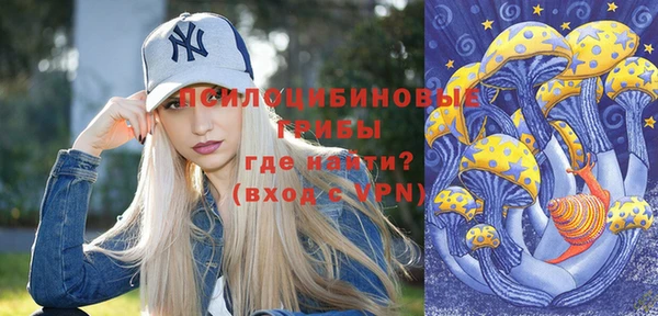 гидропоника Богданович
