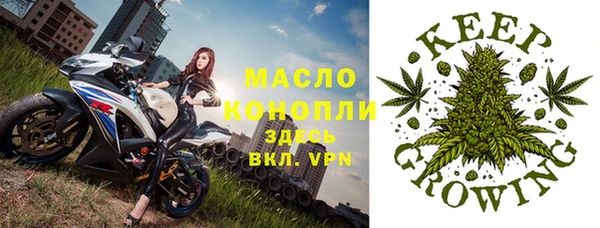 дмт Богородск