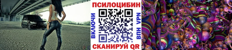 дарк нет клад  Данков  Галлюциногенные грибы Magic Shrooms  МЕГА ссылки 